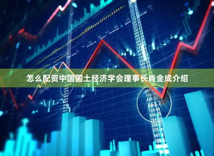 怎么配资中国国土经济学会理事长肖金成介绍