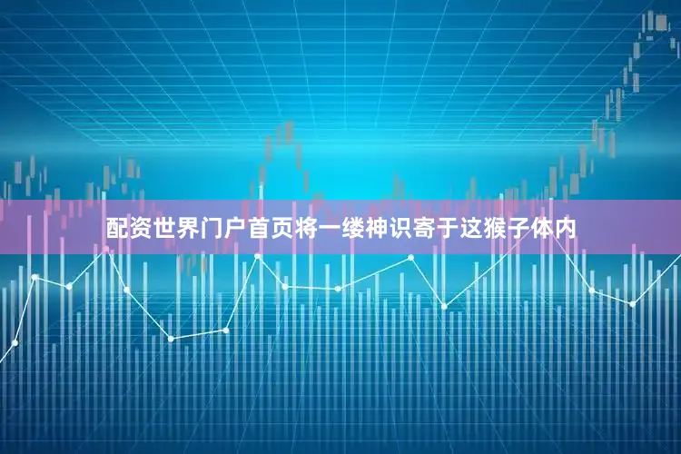 配资世界门户首页将一缕神识寄于这猴子体内